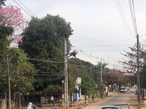 Un “spiderman” electricista sorprendió al barrio Palomar - Nacionales - ABC Color