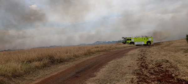 Reportan incendio en el predio del Aeropuerto Guaraní | Ñanduti