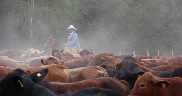 Sigue en alza el precio del gordo, pero el mercado de la carne “preocupa” a la industria