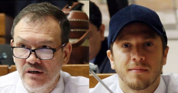 La Nación / Plantean subsidio a familiares de personas que hayan fallecido por COVID-19