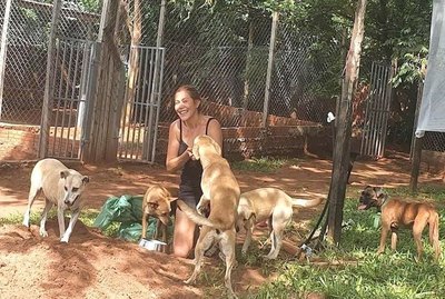 Crónica / La pandemia afectó avei a los peluditos