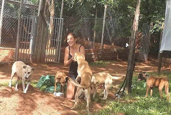 Crónica / La pandemia afectó avei a los peluditos