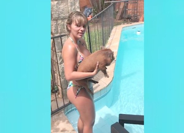 Crónica / ¿UN FRAUDE? ¡Mirá lo que pasó con su “minipig”!