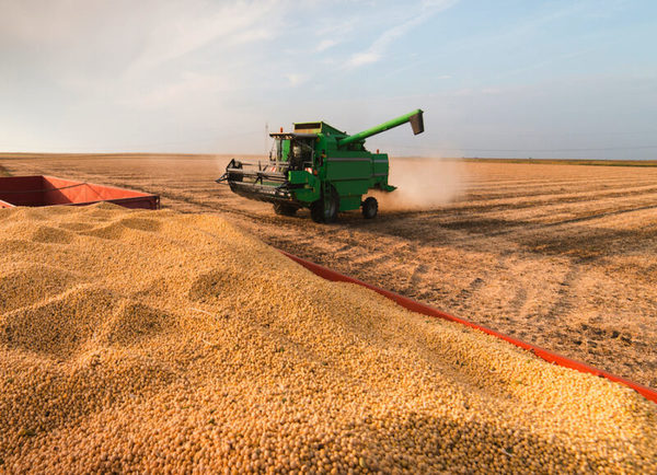 Producción de granos reactiva y dinamiza nuevamente la economía paraguaya
