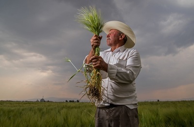 Cerveza lidera exportaciones del agro de México en primeros 5 meses del año - MarketData