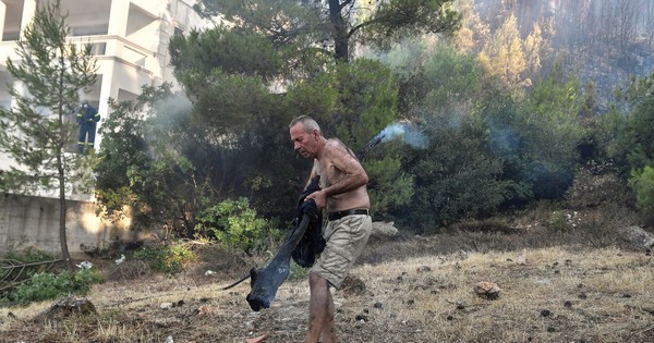 La Nación / Los lugareños, héroes anónimos de los incendios forestales de Turquía
