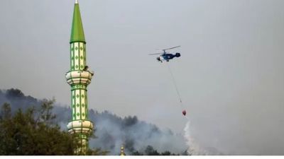 Feroces incendios en Grecia ponen en peligro islas, ciudades y ruinas arqueológicas | El Independiente