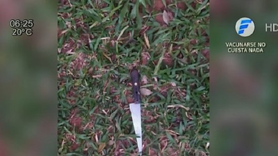 Vecinos impiden intento de feminicidio | Noticias Paraguay