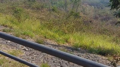 Reportan incendio de pastizales en la Costanera de Asunción