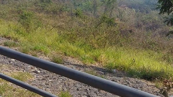 Reportan incendio de pastizales en la Costanera de Asunción