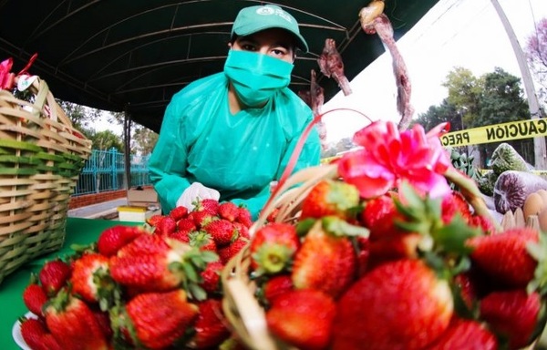 Realizarán feria de frutillas en la Costanera de Asunción