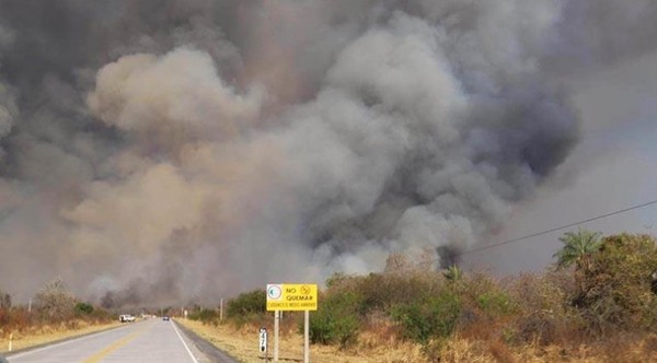 MUNDO | Incendios forestales en región de Bolivia consumen 147.254 hectáreas