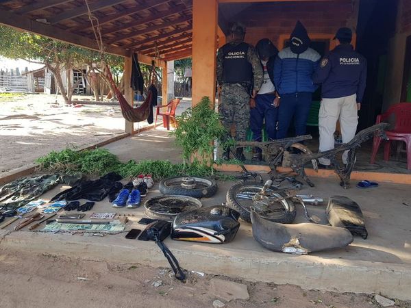 Detienen a presunto miembro de banda de asaltantes y hallan plantación de marihuana - Nacionales - ABC Color
