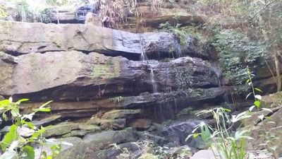 Parque Nacional Ybycuí, un patrimonio natural e histórico como opción turística