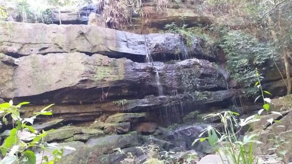 Parque Nacional Ybycuí, un patrimonio natural e histórico como opción turística