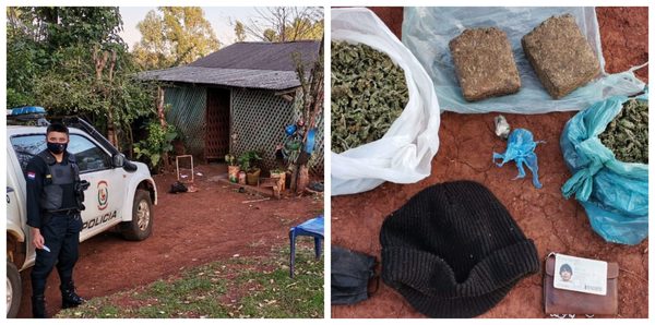ALLANAN VIVIENDAS E INCAUTAN MARIHUANA EN MARÍA AUXILIADORA