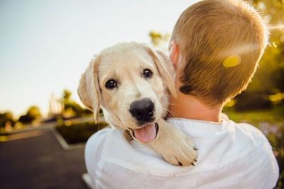 Amor y cuidados desde cachorros para que nos acompañen muchos años - Mascotas - ABC Color