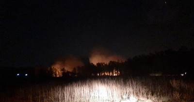 La Nación / Bomberos intentan sofocar incendio en eucaliptal de San Bernardino