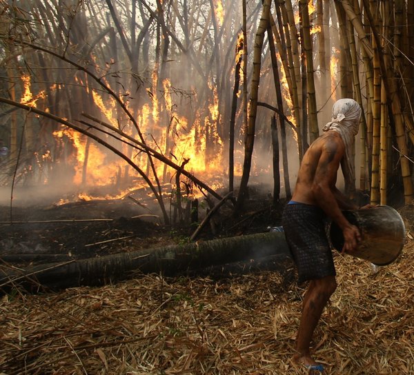 Crónica / Piden evitar otro “Paraguay en llamas”