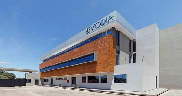 La Nación / Evodia celebra la obtención de la certificación internacional ISO 9001