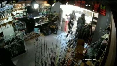 Delincuentes llevan armas cortas y largas de un local