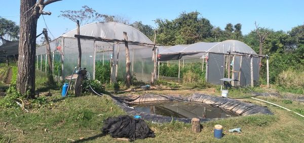 En Cnel. Oviedo no recibieron  sistema de riego, pese a figurar en los papeles - Nacionales - ABC Color