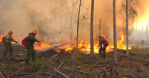 La Nación / Humo en el Polo Norte: se agravan incendios en Siberia