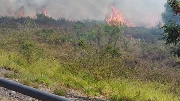 En las últimas 24 horas se registraron 2.371 focos de calor | Noticias Paraguay