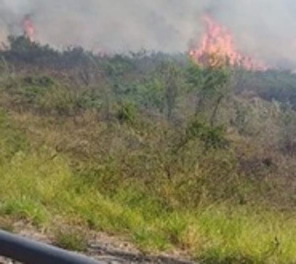Focos de calor se multiplicaron en las últimas 24 horas - Paraguay.com