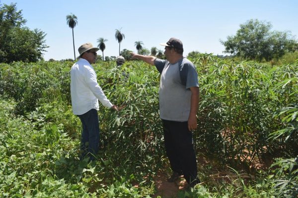 Yacyretá triplicó la inversión destinada a productores agrícolas de Misiones - El Trueno
