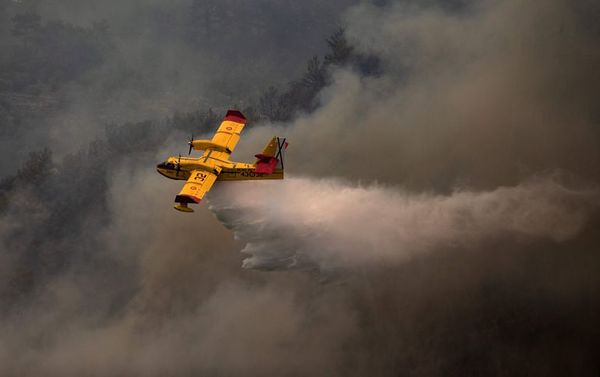 Los incendios de Turquía han calcinado 5.000 hectáreas de cultivos en 12 días - Mundo - ABC Color