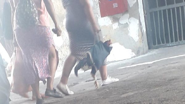 Intervienen penal de Tacumbú por ingreso irregular de aves de riña