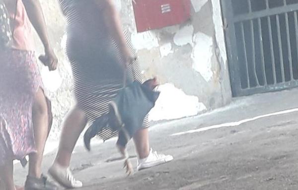 Intervienen penal de Tacumbú tras ingreso de gallos para riña
