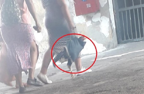 Intervendrán Tacumbú por "riña de gallos" - Noticiero Paraguay