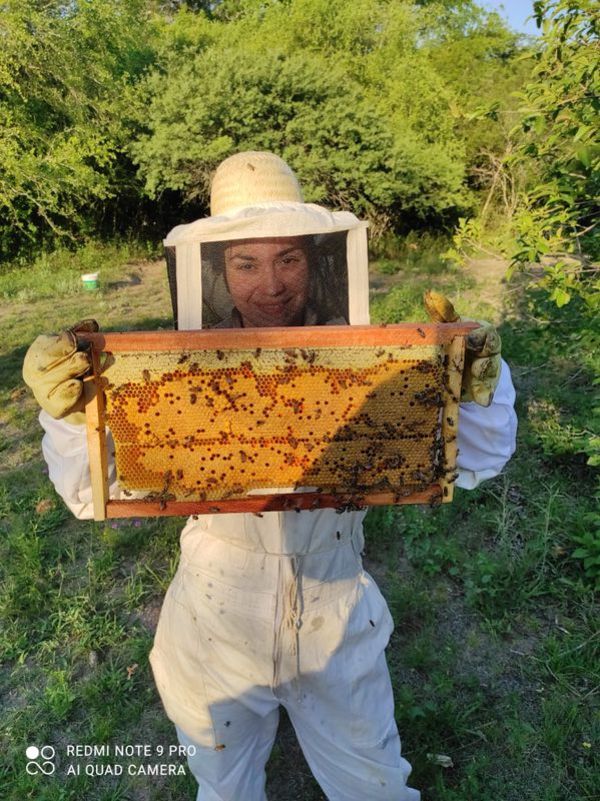 Abejas como aliadas para mejorar la producción de miel nacional