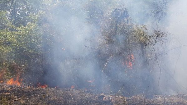 Reclaman ayuda contra incendios forestales en tierras ancestrales
