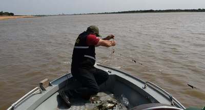Prohibir pesca de dorado y surubí no es tan fácil, dice Mades a congresista - ADN Digital