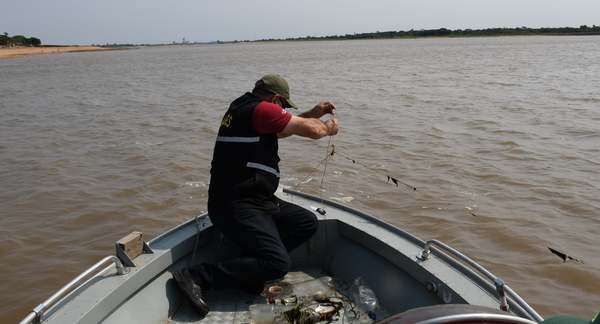 Prohibir pesca de dorado y surubí no es tan fácil, dice Mades a congresista - ADN Digital