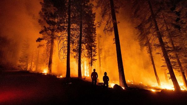 Un incendio abarca 2.200 hectáreas en los Andes de Perú