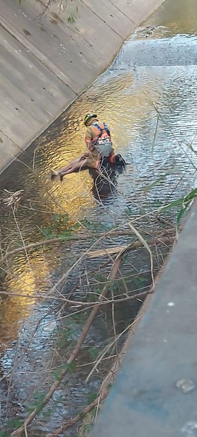 Hallan muerto a indigente cerca de un viaducto de Madame Lynch - Nacionales - ABC Color