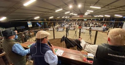 La Nación / Arrancó la puja por los mejores criollos con muy buen precio
