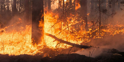 Incendio forestal avanza voraz en tierras ancestrales de los Paĩ Tavyterã