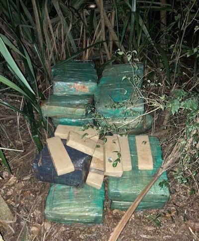 Hallan carga de marihuana prensada a orillas del lago Itaipú
