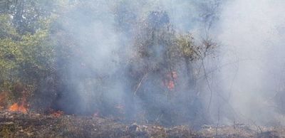 Pueblos indígenas reclaman ayuda para combatir incendios forestales en tierras ancestrales