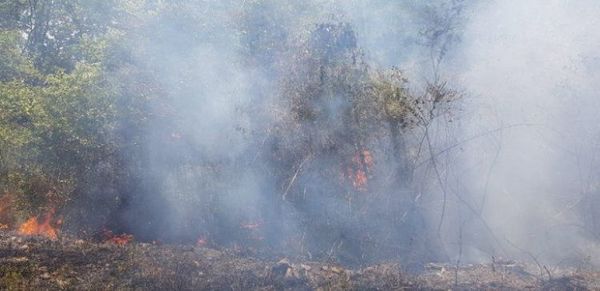 Pueblos indígenas reclaman ayuda para combatir incendios forestales en tierras ancestrales