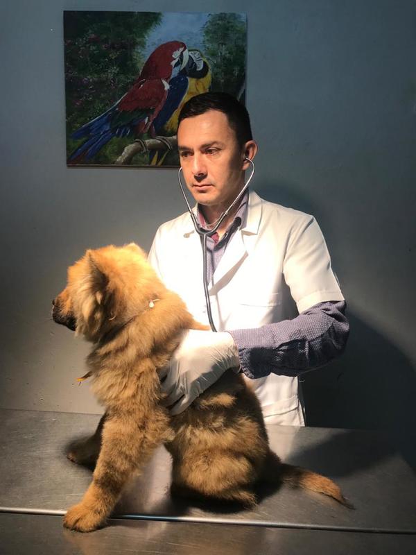 Competencia desleal constituye preocupación para veterinarios - La Clave