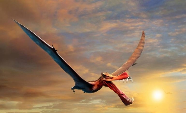 Diario HOY | Encuentran a un dinosaurio volador, descrito como un temible dragón