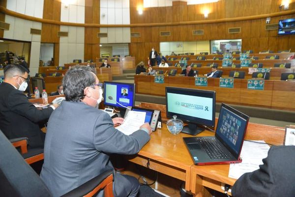 Comisión de Diputados propone aumento para docentes y personal de enfermería - Nacionales - ABC Color