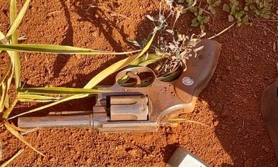 Imputan a padre e hijo que habrían baleado a lince durante persecución