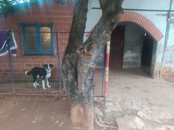 PERRITO CAUSA CONFLICTO ENTRE VECINOS EN SAN JUAN DEL PNÁ